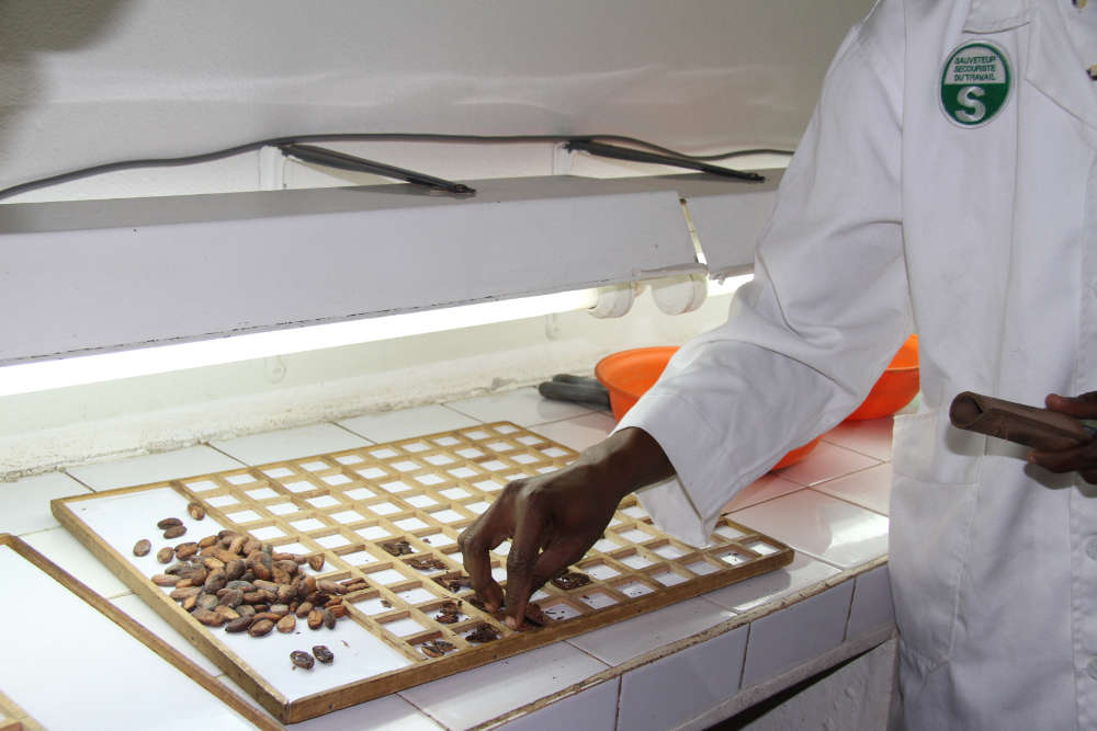 Herstellung und Werte Sarotti